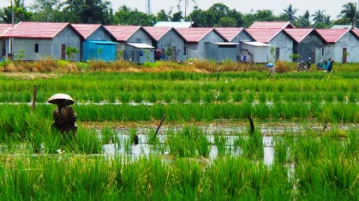 Tidak Bisa Sembarangan Alih Fungsi Lahan Pertanian