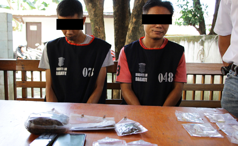 Asik Konsumsi Ganja, Polda Bekuk 10 Warga Singkil