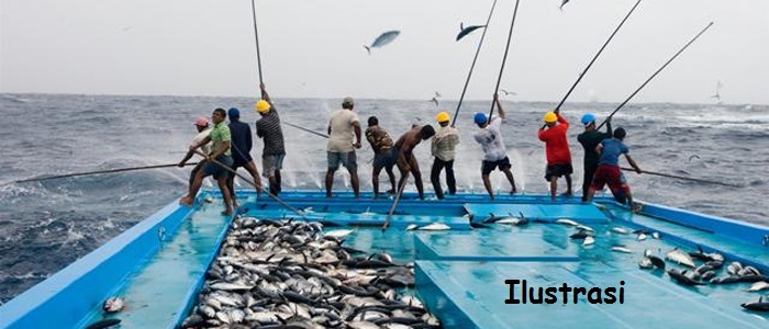 Daya Saing Nelayan Manado Kian Kuat