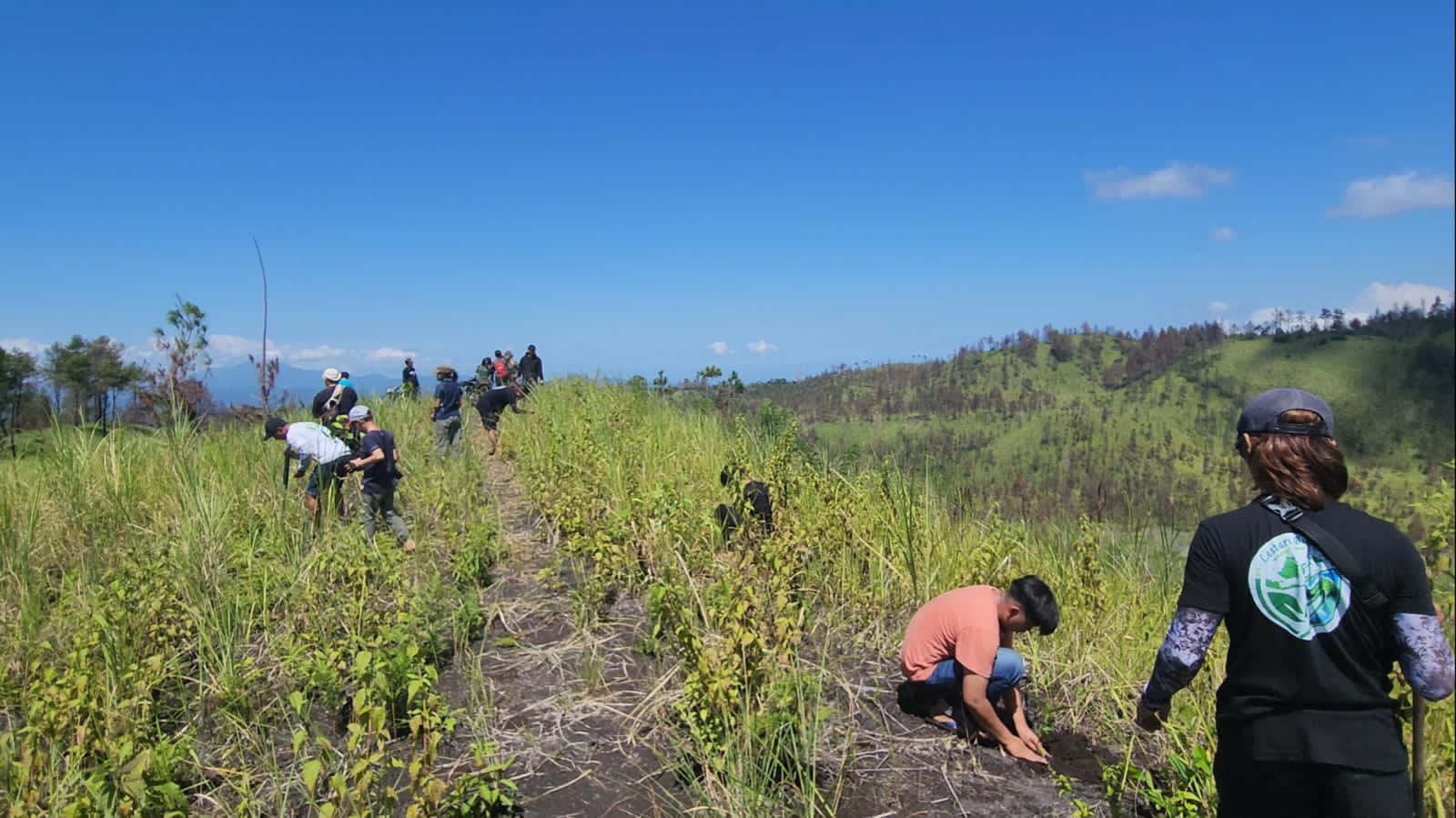 Pasca Kebakaran, Lestari Bumi Hijau Tanam 1000 Bibit Pohon di hutan Lindung Gunung Soputan