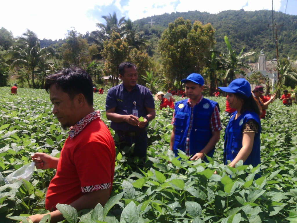70 Petani Minahasa Dibekali SDM Budidaya Kedele