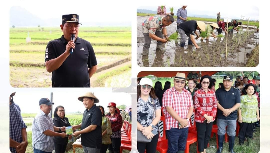 Awal Musim Tanam, Bupati Kumendong Lakukan Penanaman Padi di Desa Touliang Kakas