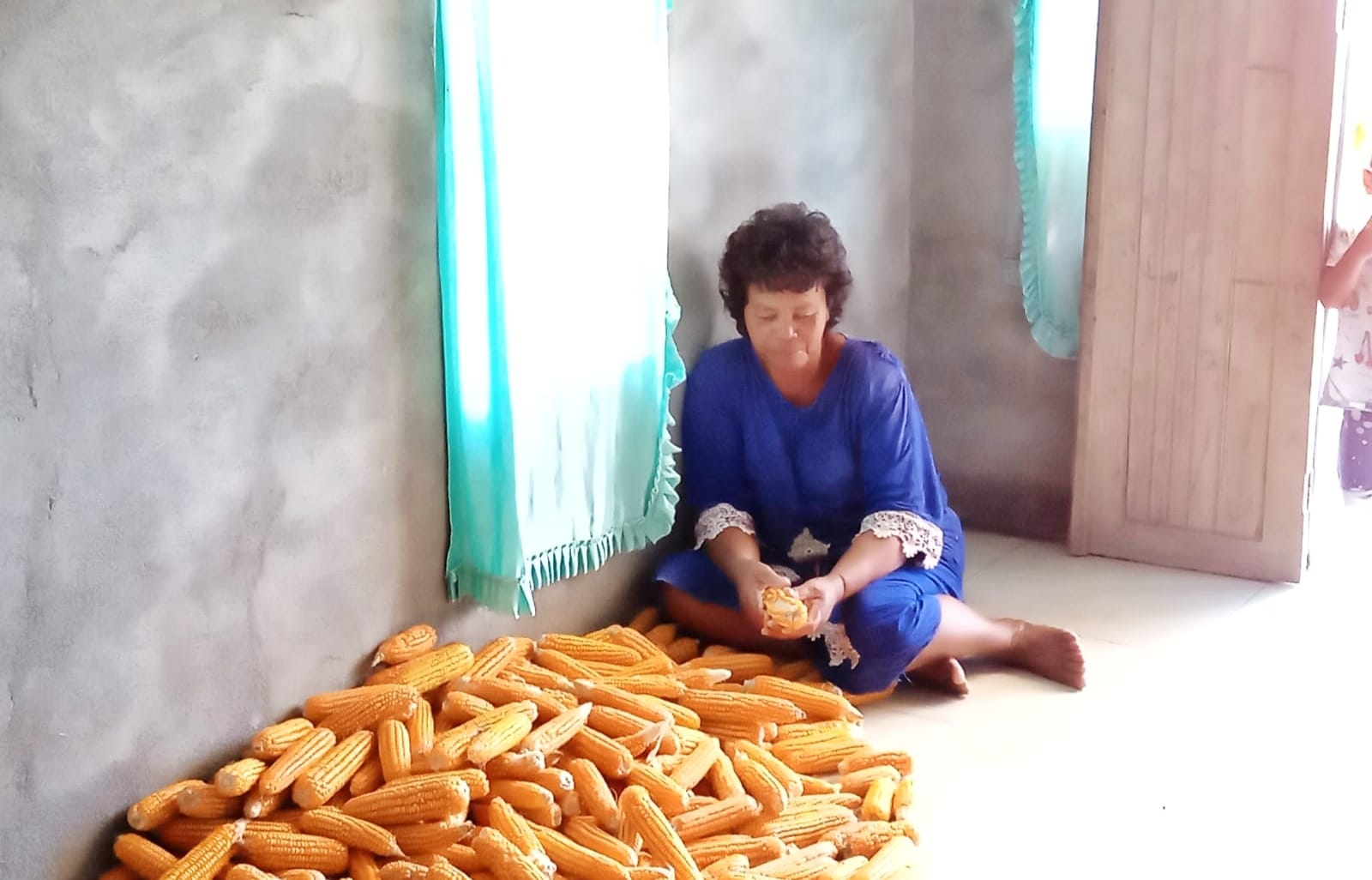 Harga Jagung di Boltim Melonjak, Petani Puas 