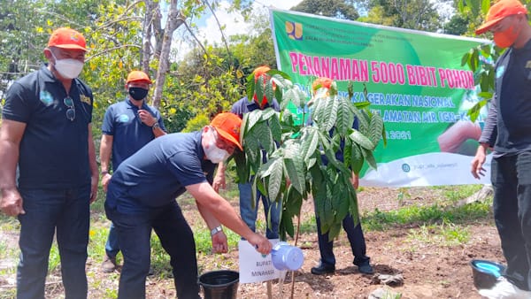 Masuk Wilayah Pengendalian Pemanfaatan DAS, Remboken Ditanami Ribuan Pohon