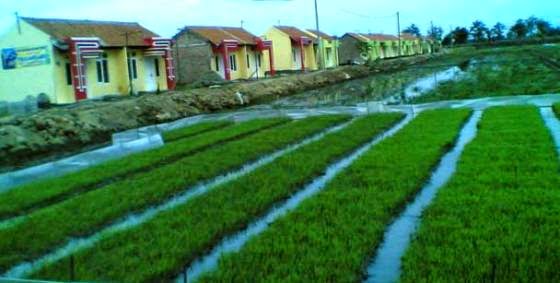 Pemkot Tekan Penyusutan Lahan Sawah