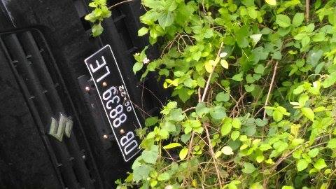 Oleng, Pick Up Bermuatan Ikan Tuna Terbalik Di Desa Sapa