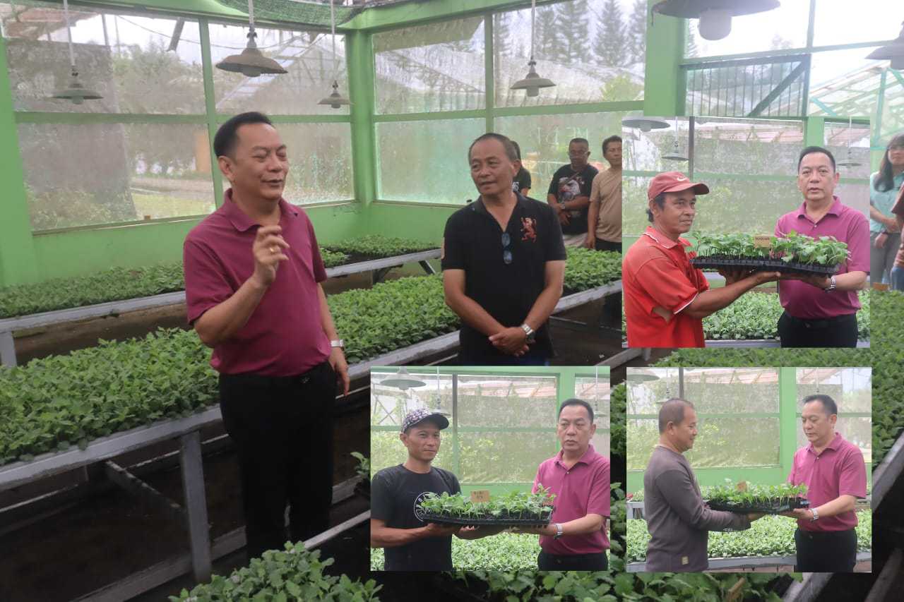 Bantu Petani Bunga, 5 Ribu Bibit Krisan Disalurkan