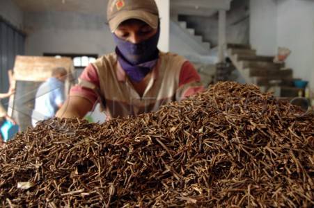 Sulut Ekspor 6.000 Kg Gagang Cengkih ke Jepang