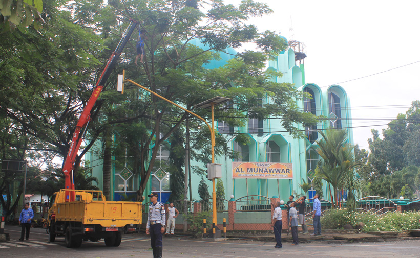 Dishub Bersihkan Ranting Pohon di Jalan