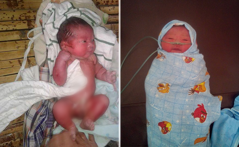 Gempar! Bayi Baru Lahir Ditemukan Dalam Kandang Babi