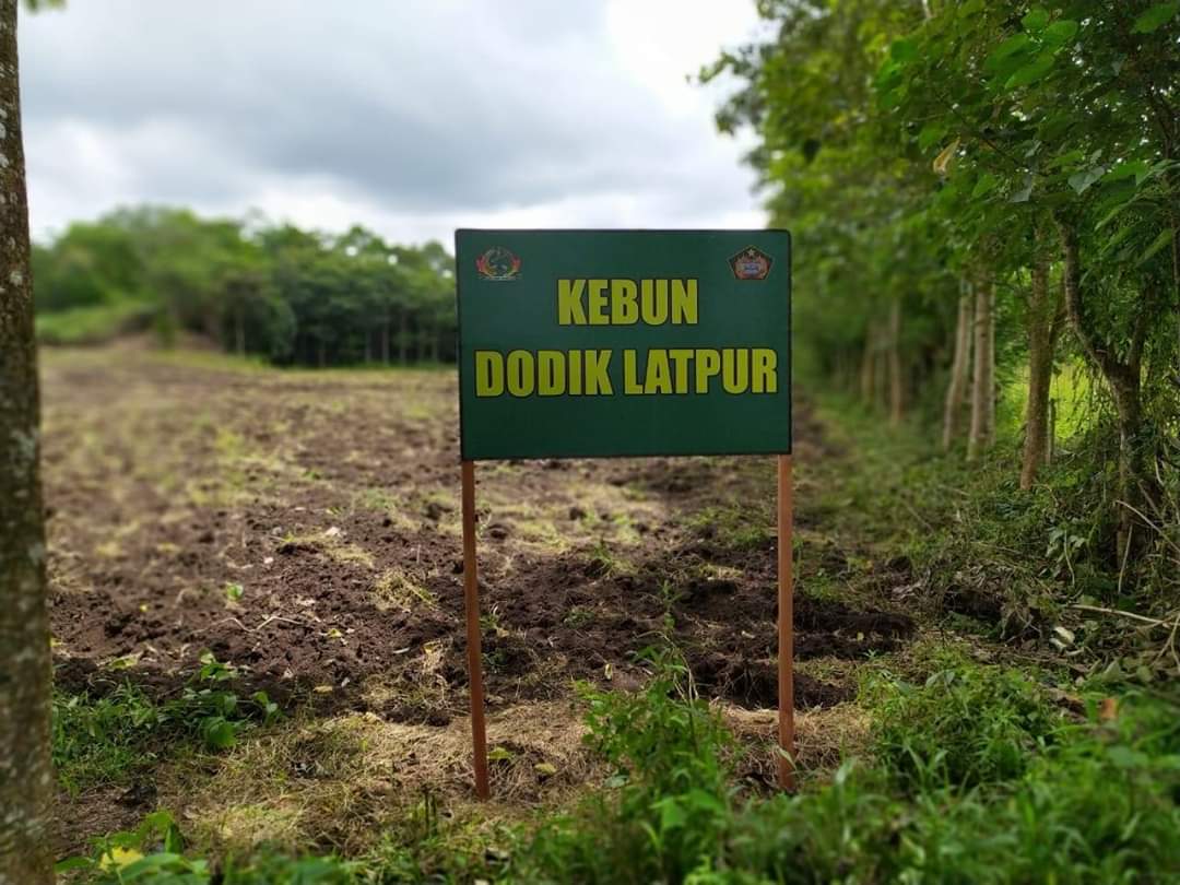 Disebut Lakukan Klaim Sepihak, TNI Didesak Hentikan Aktivitas di Kelelondey