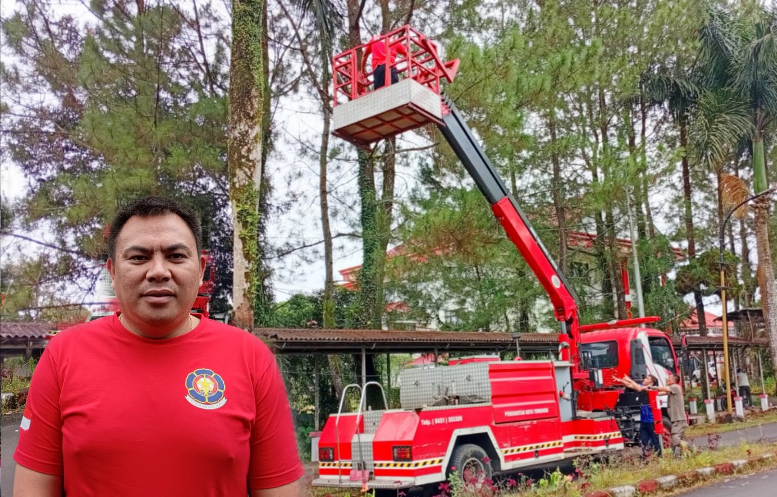 Pohon di Pekarangan Bahaya, Armada Skylift Bisa Beraksi