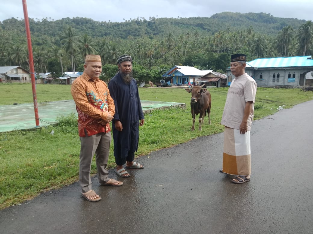 Bantuan Hewan Kurban Pemprov Sulut Disalurkan DMI Boltim