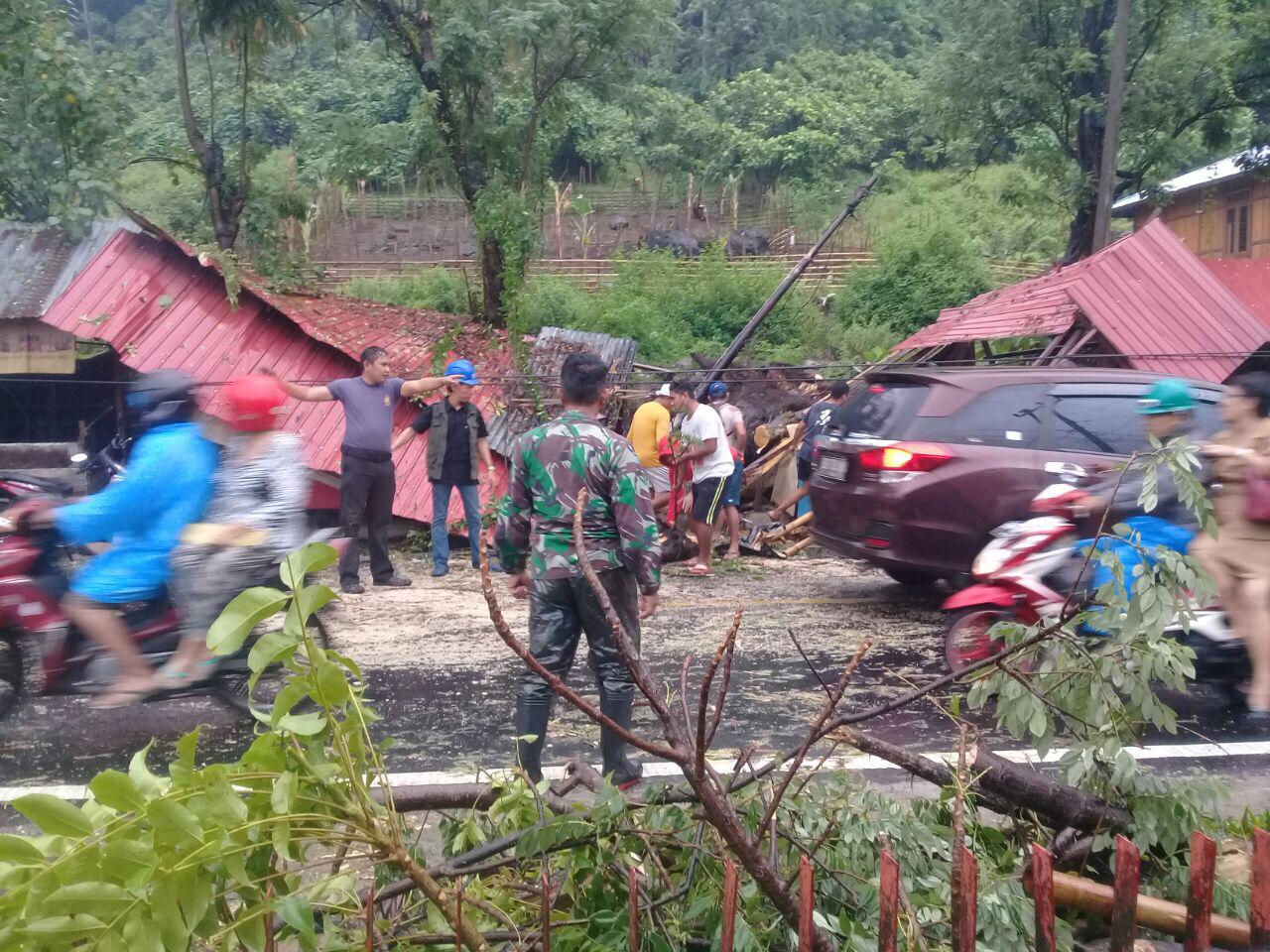 Pohon Tumbang di Jalur Trans Sulawesi, Dua Pelintas Jadi Korban