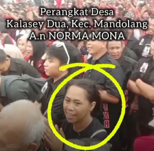 Panwascam Sikapi Video Perangkat Desa di Tengah Massa Kampanye 