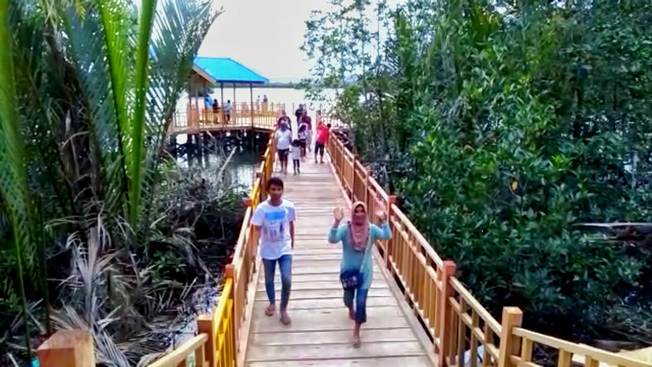Kawasan Wisata Hutan Mangrove Kotsel Siap Dilaunching