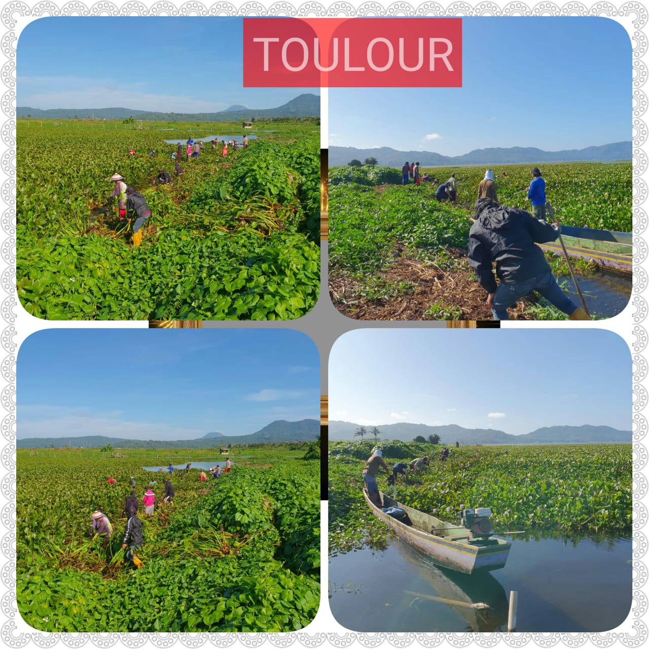 Pandemi Covid-19, Pelestarian Danau Tondano Tetap Jalan