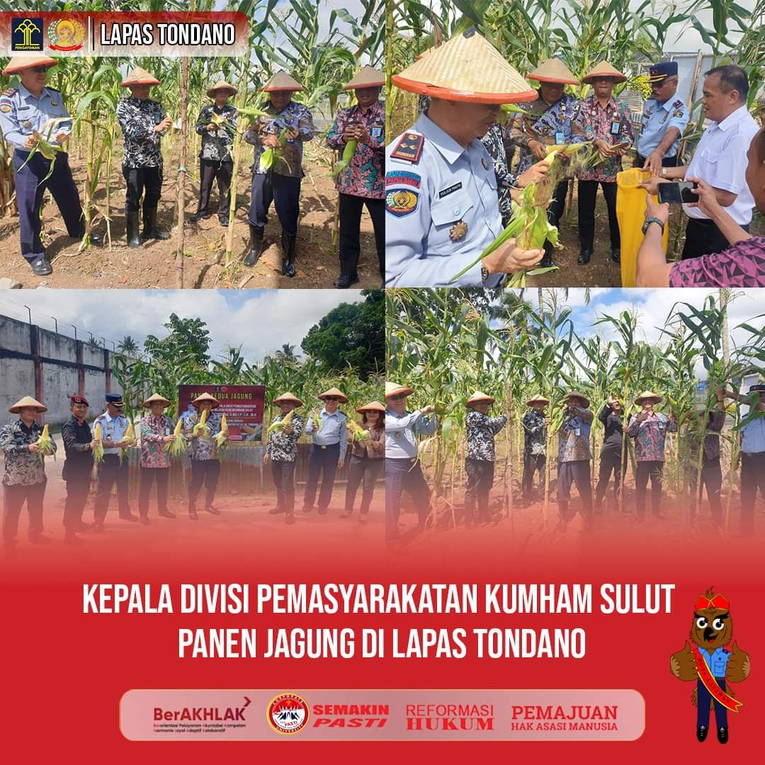 Kadivpas KemenkumHAM Sulut Ikuti Kegiatan Panen Jagung di Lapas Tondano