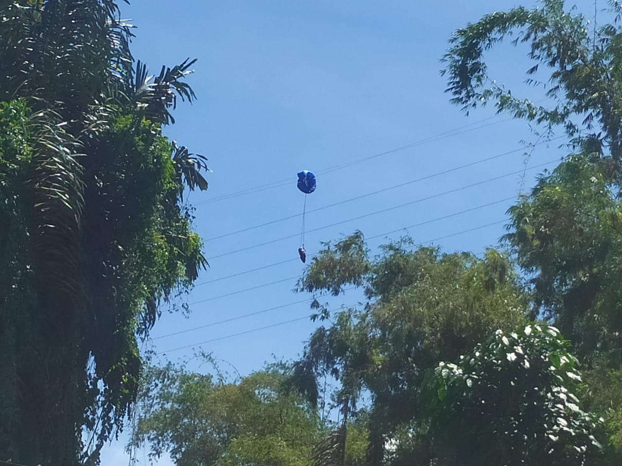 Atlit Paralayang Tersangkut di Kabel Menara Sutet Tegangan Tinggi