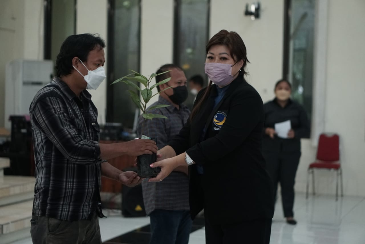 Rehabilitasi Pala di Kabupaten Kepulauan Sitaro, Hillary Serahkan Bantuan Bibit dan Pupuk