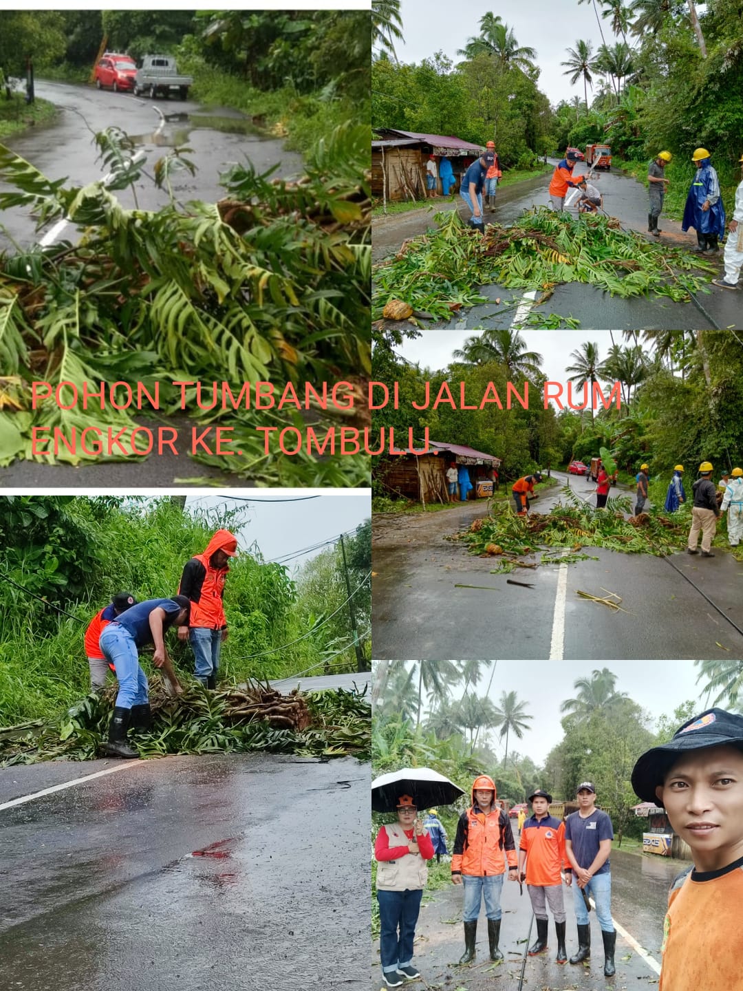 Pemkab Minahasa Gerak Cepat Akibat Pohon Tumbang di Beberapa Ruas Jalan